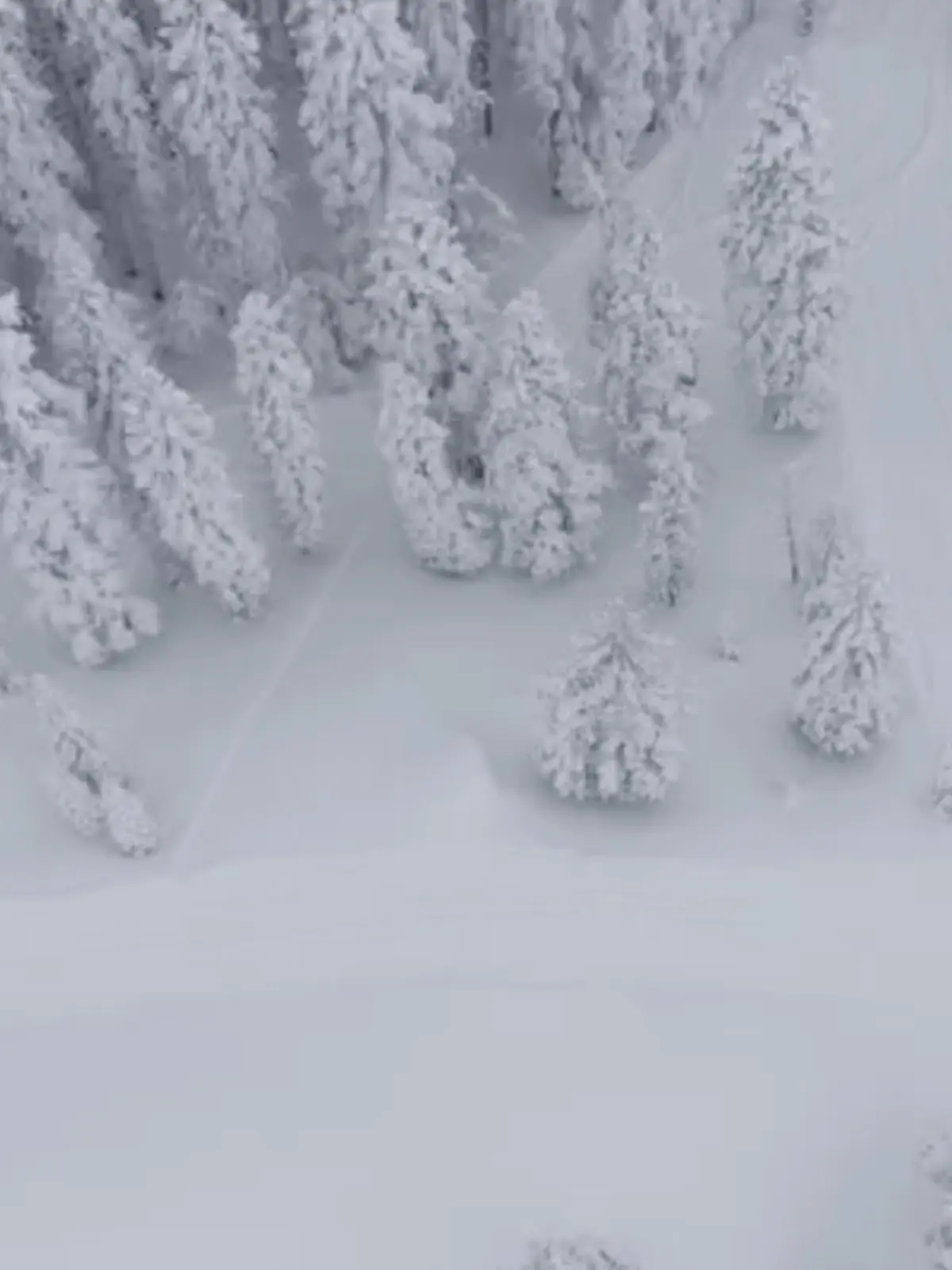 Snowstorm at Boreal / Woodward Tahoe