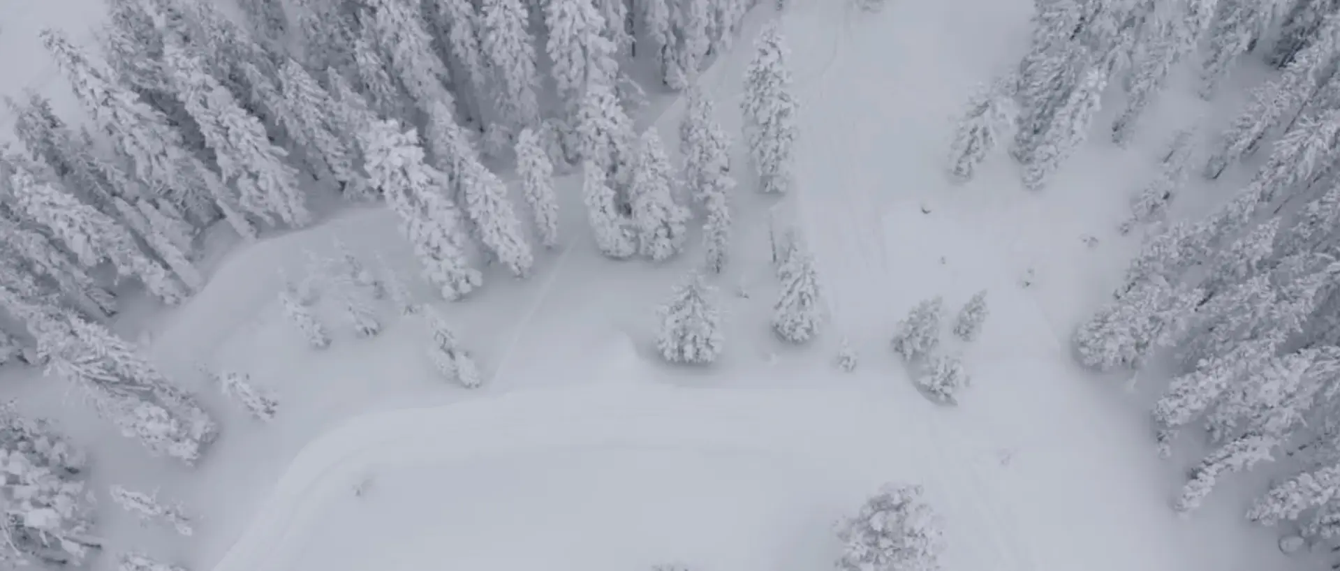 Snowstorm at Boreal / Woodward Tahoe